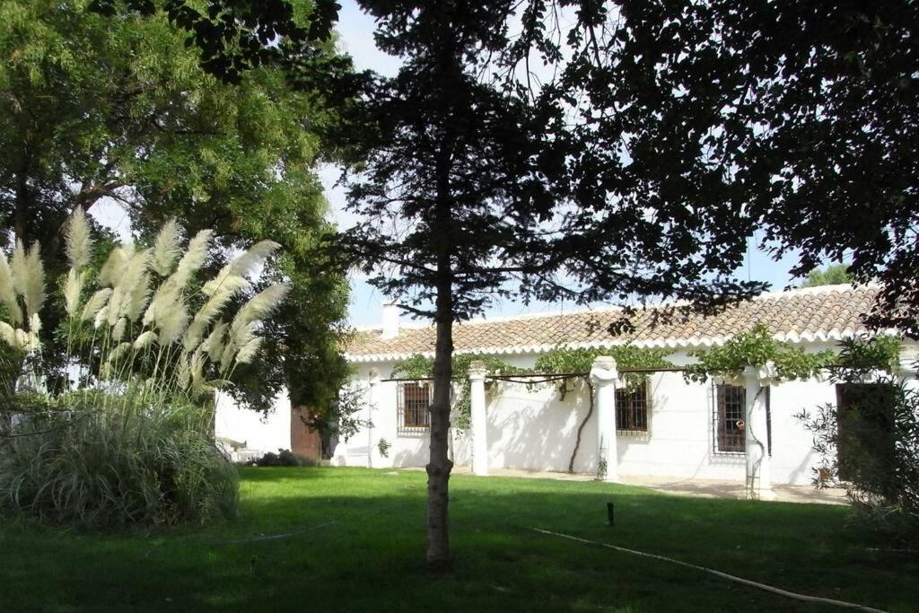 Casa El Carmen Villa Ciudad Real Kültér fotó