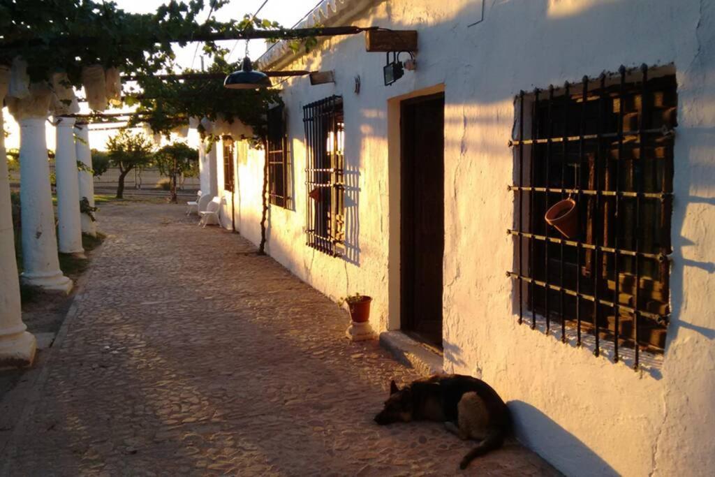 Casa El Carmen Villa Ciudad Real Kültér fotó