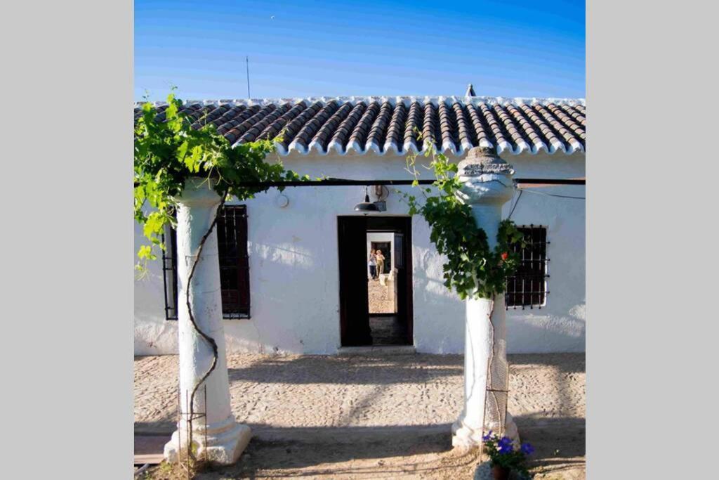 Casa El Carmen Villa Ciudad Real Kültér fotó