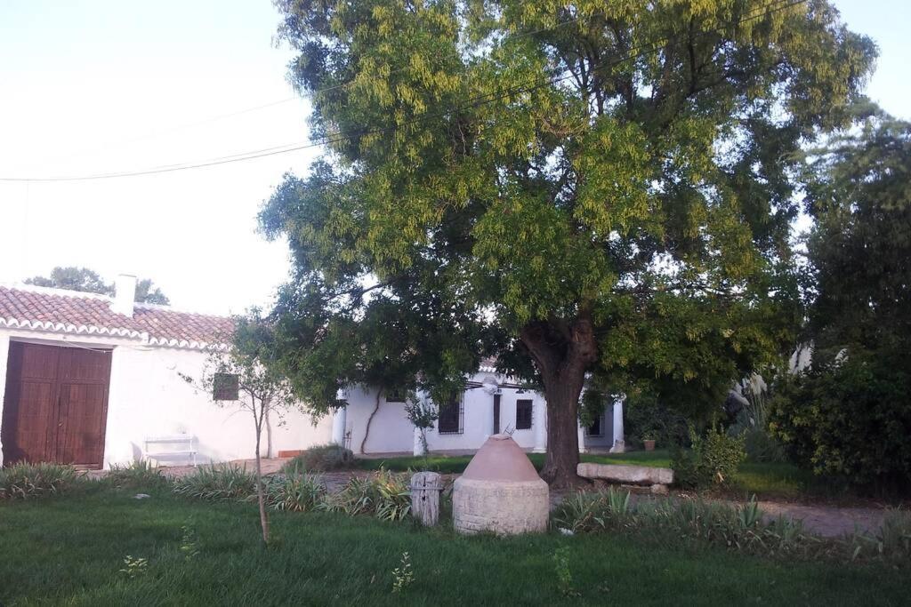 Casa El Carmen Villa Ciudad Real Kültér fotó